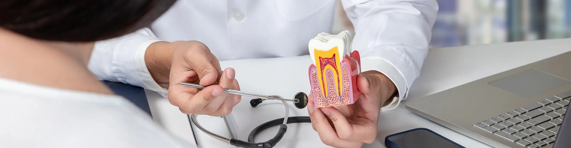 Dentist using a cross-sectional tooth model to explain dental anatomy and treatment options to a patient.