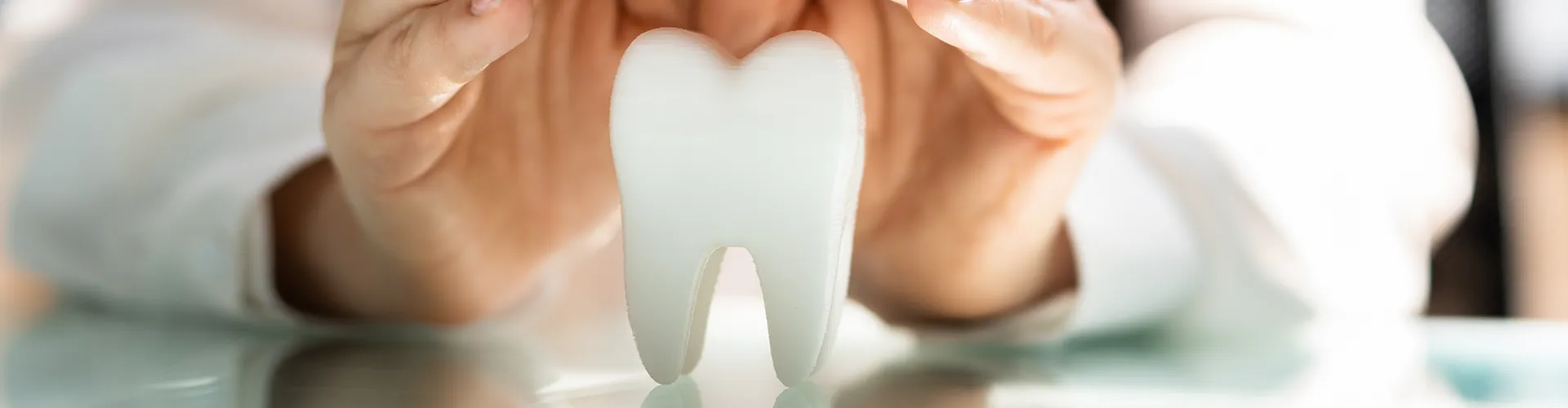 Close-up of a dentist holding a 3D tooth model, symbolizing oral health and dental care.